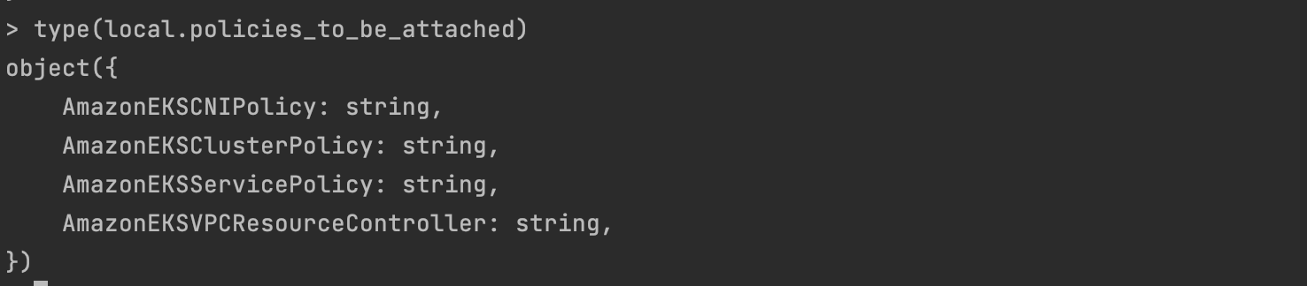 Terraform type function
